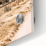 Farmhouse Wall Art – Grazing Horses Behind Rustic Fence for Country Decor