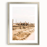 Farmhouse Wall Art – Grazing Horses Behind Rustic Fence for Country Decor