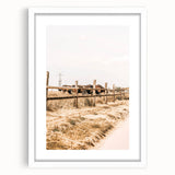 Farmhouse Wall Art – Grazing Horses Behind Rustic Fence for Country Decor