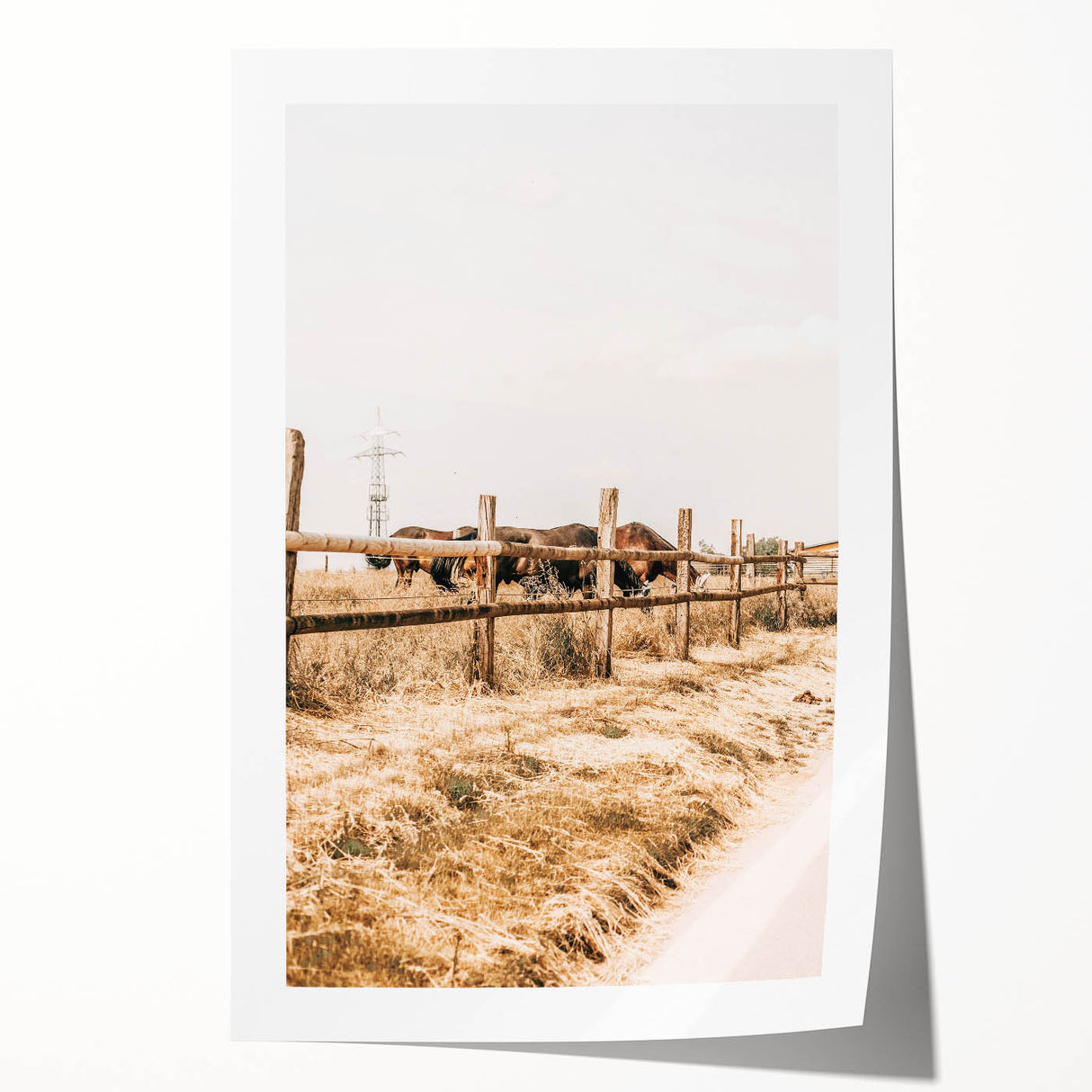 Farmhouse Wall Art – Grazing Horses Behind Rustic Fence for Country Decor