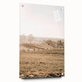 Farmhouse Wall Art – Misty Morning Fields Print for Rustic Country Decor