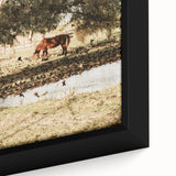 Farmhouse Wall Art – Grazing Horse by Pond Print for Rustic Country Decor