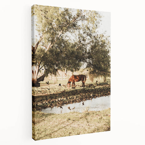 Farmhouse Wall Art – Grazing Horse by Pond Print for Rustic Country Decor