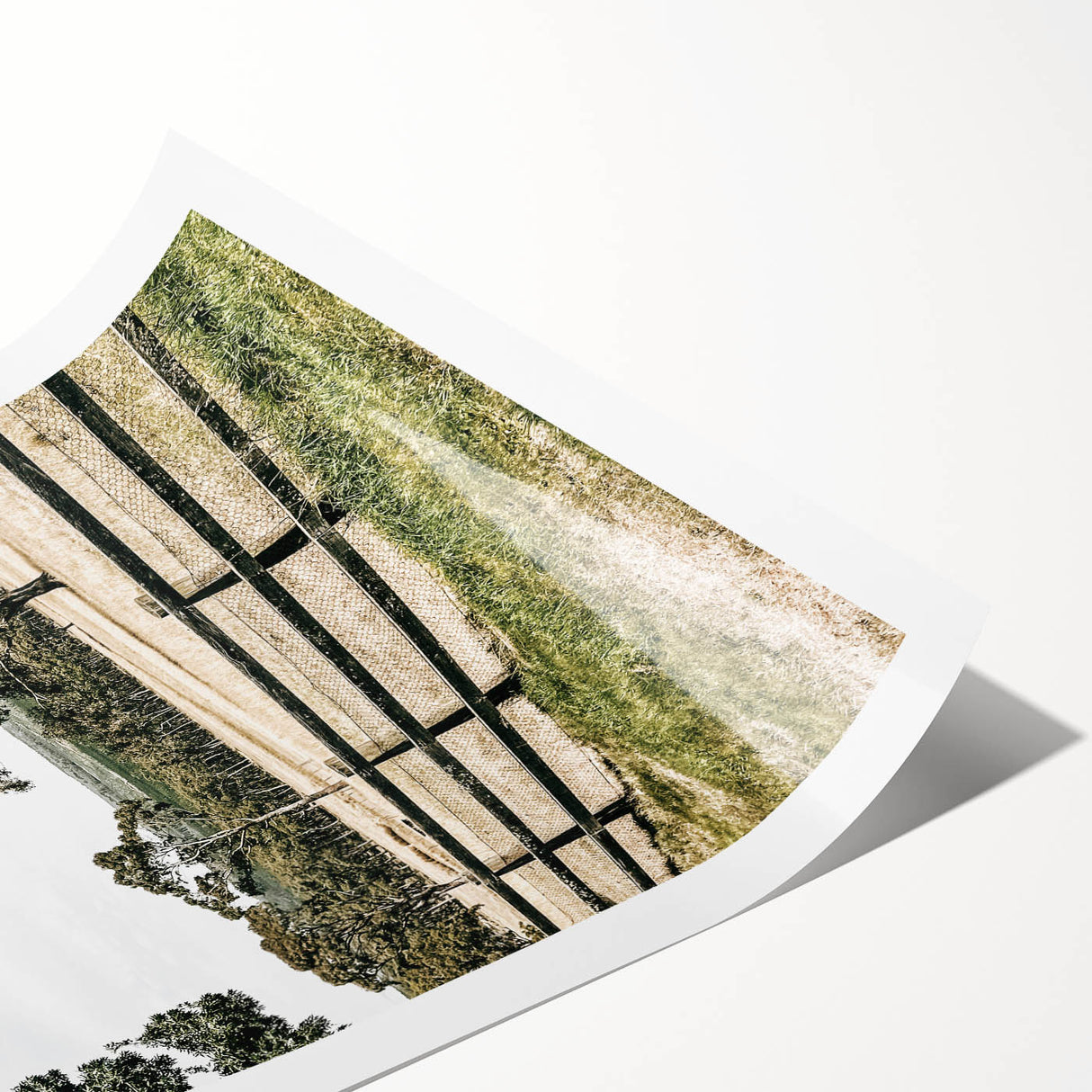 Farmhouse Wall Art – Fenced Pasture with Trees Print for Rustic Decor