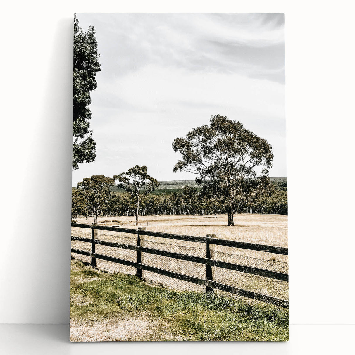 Farmhouse Wall Art – Fenced Pasture with Trees Print for Rustic Decor