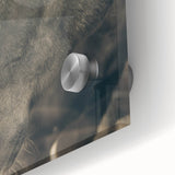 Rustic Horse Wall Art | Farmhouse Decor | Country Style Animal Print