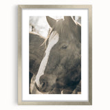 Rustic Horse Wall Art | Farmhouse Decor | Country Style Animal Print