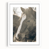 Rustic Horse Wall Art | Farmhouse Decor | Country Style Animal Print