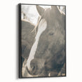 Rustic Horse Wall Art | Farmhouse Decor | Country Style Animal Print