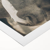 Rustic Horse Wall Art | Farmhouse Decor | Country Style Animal Print