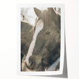 Rustic Horse Wall Art | Farmhouse Decor | Country Style Animal Print