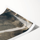 Rustic Horse Wall Art | Farmhouse Decor | Country Style Animal Print