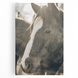 Rustic Horse Wall Art | Farmhouse Decor | Country Style Animal Print