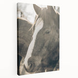 Rustic Horse Wall Art | Farmhouse Decor | Country Style Animal Print
