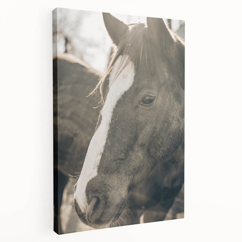 Rustic Horse Wall Art | Farmhouse Decor | Country Style Animal Print
