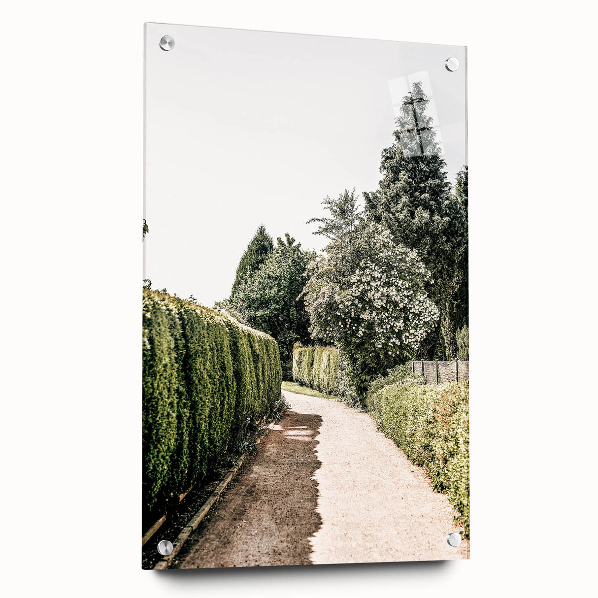Farmhouse Wall Art – Hedge-Lined Path Print for Rustic Garden Decor