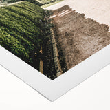 Farmhouse Wall Art – Hedge-Lined Path Print for Rustic Garden Decor