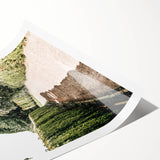 Farmhouse Wall Art – Hedge-Lined Path Print for Rustic Garden Decor