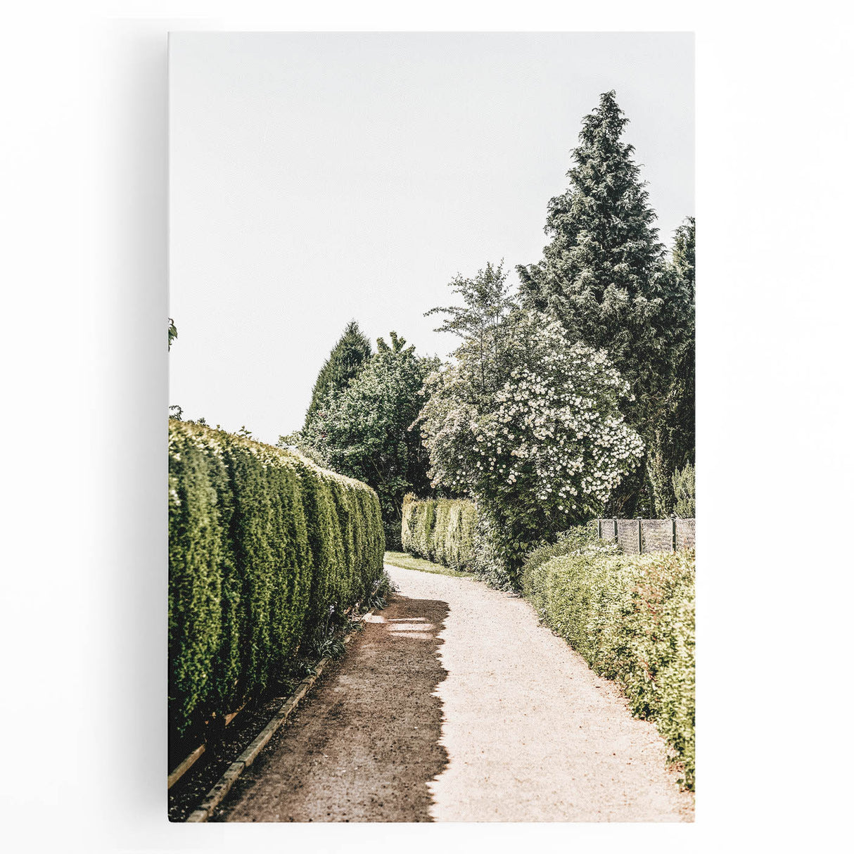 Farmhouse Wall Art – Hedge-Lined Path Print for Rustic Garden Decor
