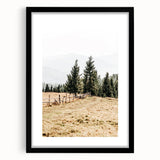 Rustic Farmhouse Wall Art – Countryside Pathway with Trees Print
