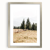 Rustic Farmhouse Wall Art – Countryside Pathway with Trees Print