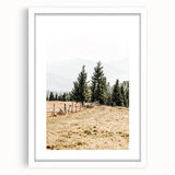 Rustic Farmhouse Wall Art – Countryside Pathway with Trees Print