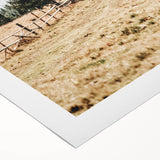 Rustic Farmhouse Wall Art – Countryside Pathway with Trees Print