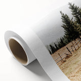 Rustic Farmhouse Wall Art – Countryside Pathway with Trees Print