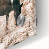 Farmhouse Wall Art – Grazing Horse in Sand Dunes Print