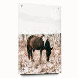Farmhouse Wall Art – Grazing Horse in Sand Dunes Print
