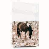 Farmhouse Wall Art – Grazing Horse in Sand Dunes Print