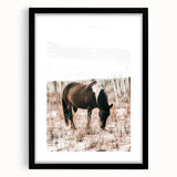 Farmhouse Wall Art – Grazing Horse in Sand Dunes Print