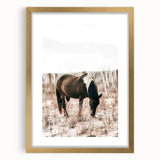 Farmhouse Wall Art – Grazing Horse in Sand Dunes Print