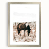 Farmhouse Wall Art – Grazing Horse in Sand Dunes Print
