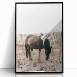 Farmhouse Wall Art – Grazing Horse in Sand Dunes Print