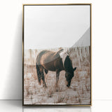 Farmhouse Wall Art – Grazing Horse in Sand Dunes Print