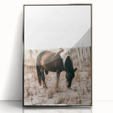 Farmhouse Wall Art – Grazing Horse in Sand Dunes Print