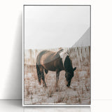 Farmhouse Wall Art – Grazing Horse in Sand Dunes Print