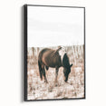 Farmhouse Wall Art – Grazing Horse in Sand Dunes Print