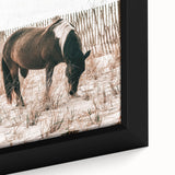 Farmhouse Wall Art – Grazing Horse in Sand Dunes Print