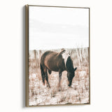 Farmhouse Wall Art – Grazing Horse in Sand Dunes Print