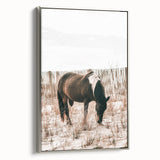 Farmhouse Wall Art – Grazing Horse in Sand Dunes Print