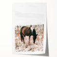 Farmhouse Wall Art – Grazing Horse in Sand Dunes Print
