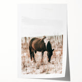Farmhouse Wall Art – Grazing Horse in Sand Dunes Print