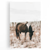 Farmhouse Wall Art – Grazing Horse in Sand Dunes Print