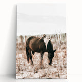 Farmhouse Wall Art – Grazing Horse in Sand Dunes Print