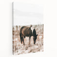 Farmhouse Wall Art – Grazing Horse in Sand Dunes Print