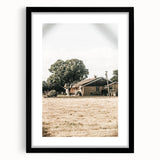 Farmhouse Wall Art – Tranquil Country Home under Oak Tree Print