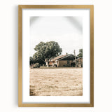 Farmhouse Wall Art – Tranquil Country Home under Oak Tree Print