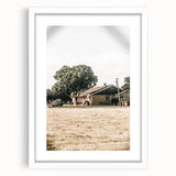 Farmhouse Wall Art – Tranquil Country Home under Oak Tree Print